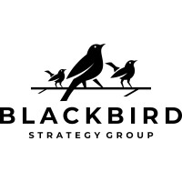 Blackbird Strategy Group logo - Similar company to Blk Grvty