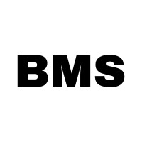 BMS Engineering and Automation logo - Similar company to B&G Energy Solutions