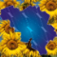 Solar-Future / JC Invest NV logo - Similar company to Future Solar Technologies Ltd