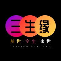 Threeoo Pte. Ltd. logo - Similar company to Pitstop Tyres Pte Ltd