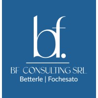 BF CONSULTING SRL logo - Similar company to Bf Consulting