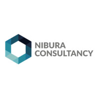 Nibura Consultancy Trade and Investment AB logo - Similar company to Ab Consultancy