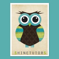 Shine Tutors logo - Similar company to Lsesu Rag