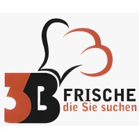 3B Trading & Consulting GmbH logo - Similar company to Vwi-Estiem Local Group Aachen E.V.