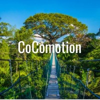 Cocomotion, Conseil En Partenariats Solidaires.