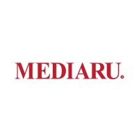 Mediaru LTD (Newsru.co.il) logo - Similar company to Prosites