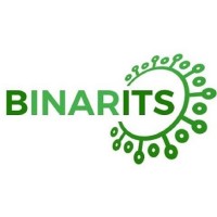 Binarits logo - Similar company to Vpnet