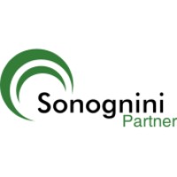 Sonognini Partner logo - Similar company to Zardi Ricerche Sa