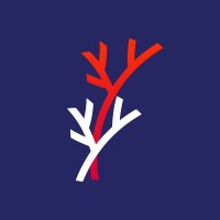 LifeFlow Partners logo - Similar company to Phase 1 Equity