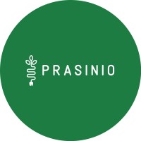 Prasinio Solutions Inc. logo - Similar company to Egm Systems Global Technologies, Inc.