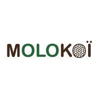 MOLOKOÏ logo - Similar company to Etsol Engineering
