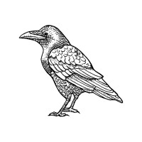 RavenMark Capital logo - Similar company to Organic Growth Digital