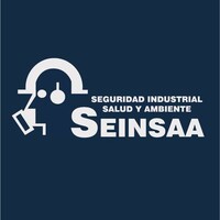 Seinsaa logo - Similar company to Ene Consulting, Inc.