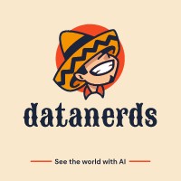 DataNerd logo - Similar company to Data Tech Nerd