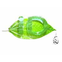 Intelligent Development Ltd