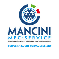 Mancini Mec Service logo - Similar company to Techne - Società Consortile A Responsabilità Limitata