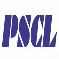 Pioneer Shipping Container Lines logo - Similar company to Pioneer Academy