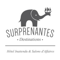 Surprenantes logo - Similar company to Boule De Com