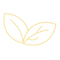 Momentum logo - Similar company to The Second C