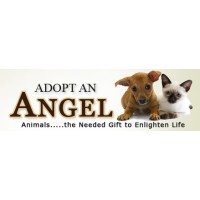 Adopt-An-ANGEL NC logo - Similar company to Foster Care Alliance