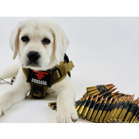 Ferrata Firearms logo - Similar company to 904 Firearms