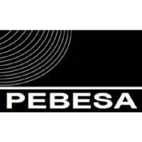 PEBESA MULTISERVICIOS S.L.U. logo - Similar company to Eoliccat - Associació Eòlica De Catalunya