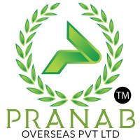 PRANAB OVERSEAS PRIVATE LIMITED logo - Similar company to Brunga Export Import Private Limited
