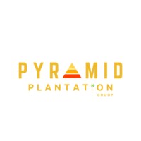 Pyramid Plantation Group logo - Similar company to Timur Network Sdn Bhd