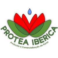 Protea Iberica, Lda. logo - Similar company to Berry.Pt