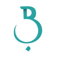 Bahar Holding logo - Similar company to Halabja Group