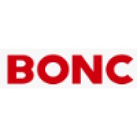 Business-Intelligence Of Oriental Nations Corporation Ltd.