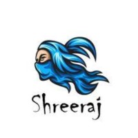Shreeraj logo - Similar company to Deepak Gupta