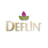 Deflin logo - Similar company to Wabi Ajans