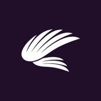 FlyPhysio logo - Similar company to Visitry