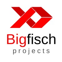 Bigfisch Projects logo - Similar company to Complex Energy Sa