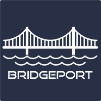 BridgePort Group logo - Similar company to Crystal Triangle