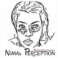Nima's Perception logo - Similar company to Sna Software Llc
