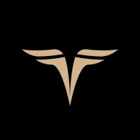 Firebird Social logo - Similar company to Lightstream