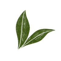 HappySoaps Sverige logo - Similar company to Solid Matters