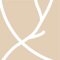 Vespucci Partners logo - Similar company to Transcend