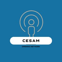 CESAM logo - Similar company to Groupe Itermi