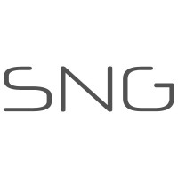 SNG - Social Network Group logo - Similar company to Alm365Cloud