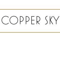 Copper Sky LLC logo - Similar company to Data Management And Compliance, Inc.