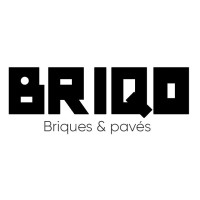 BRIQO logo - Similar company to Fit Solution