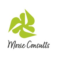Moxie Consults logo - Similar company to Cobblestone Development