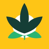 4 Twenty Tax & Accounting logo - Similar company to America'S Tax Solutions