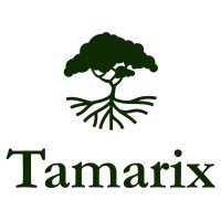 Tamarix Capital