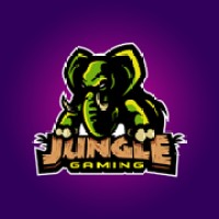 Jungle Gaming Center logo - Similar company to Ebers