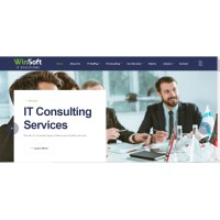 Winsoft IT Solutions LLC logo - Similar company to Vi Technology