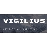 Vigilius logo - Similar company to Evex Group
